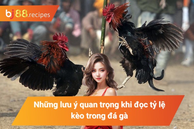 Lưu ý chính khi đọc tỷ lệ kèo trong đá gà