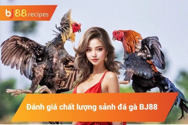 Đánh giá ưu điểm của sân chơi đá gà top 1 