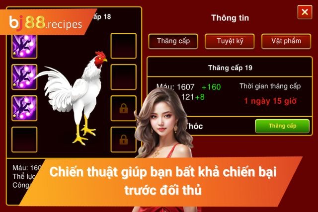 Mẹo bao thắng được nhiều hội viên quan tâm 2024