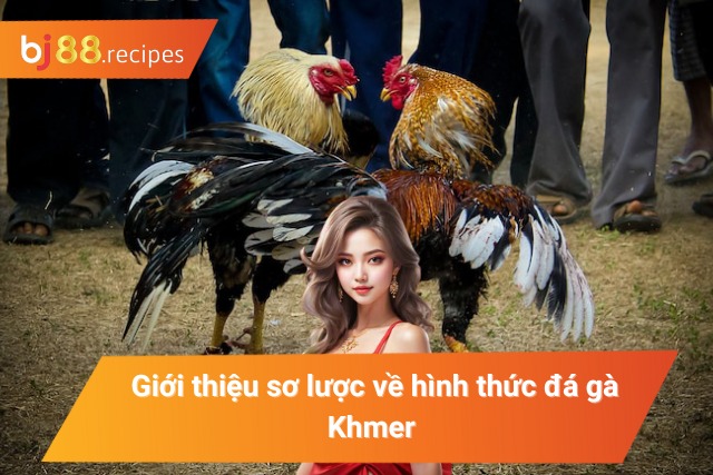 Giới thiệu sơ lược về hình thức chọi gà Khmer 