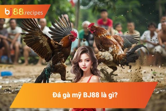 Giới thiệu những thông tin về đá gà Mỹ mà tân thủ cần nắm