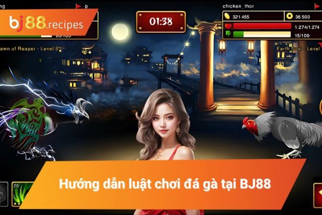 Hướng dẫn luật chơi đá gà đầy đủ và cơ bản nhất 2024
