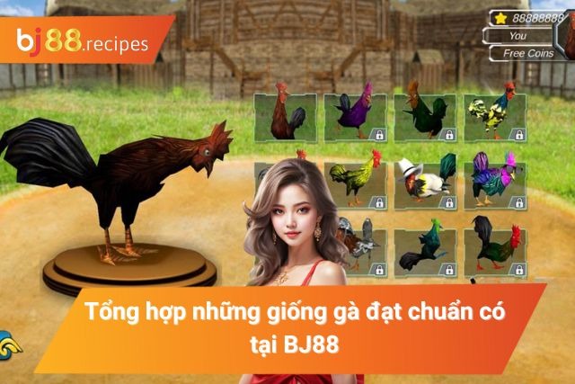 Tổng hợp những giống gà nổi tiếng có mặt tại trường đấu