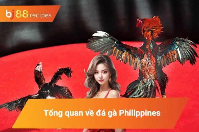 Đôi nét về đá gà tại Philippines