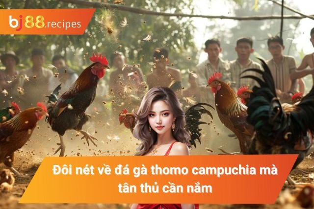 Tổng quan về chọi gà thomo campuchia 