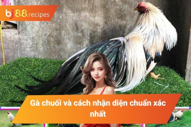 Cách nhận diện dòng gà chọi phổ biến