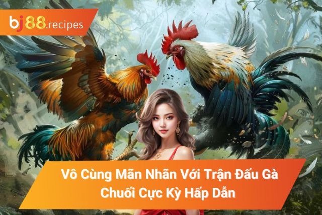 Tổng hợp những giống gà nổi tiếng có mặt tại trường đấu
